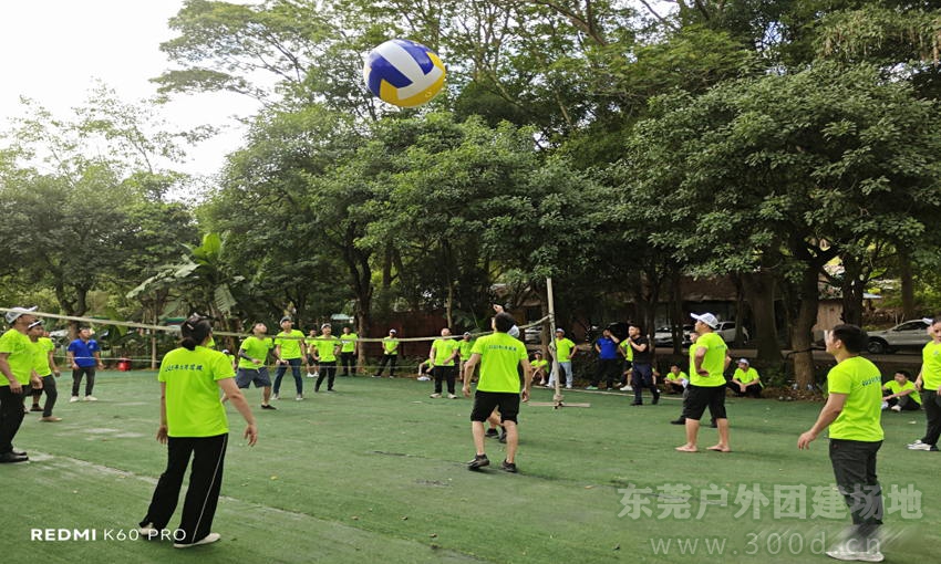 解锁黄江 塘厦 常平 大朗 深圳周边团建新的森林系氧吧团建打卡地点